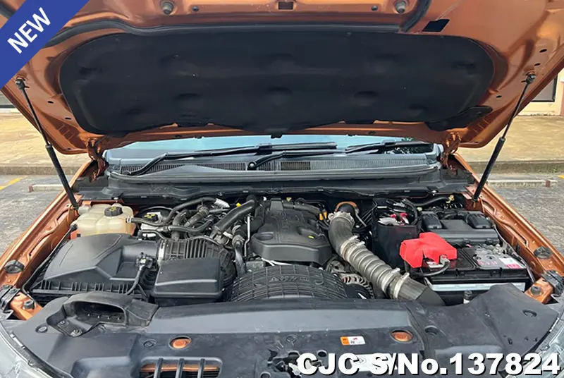 Ford Ranger in Orange for Sale Image 9